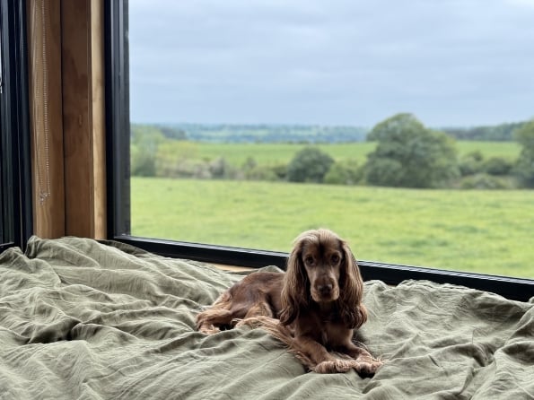Dog friendly Alcor Shack